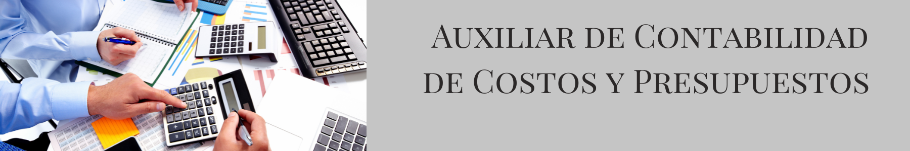 Auxiliar de Contabilidad de Costos y Presupuestos - Para Acreditación