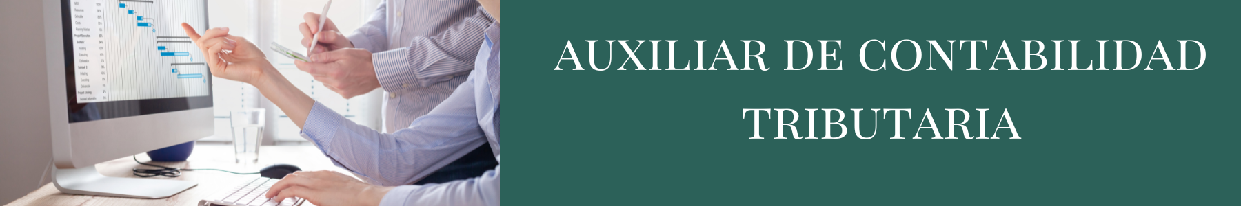 Auxiliares de Contabilidad Tributaria - Para Acreditación